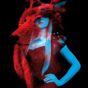 Wolf Medicine Wolf Medicine