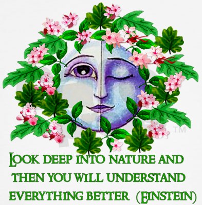 nature, einstein
