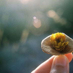 Intentions have infinite organizing power~ Intentions have infinite organizing power~