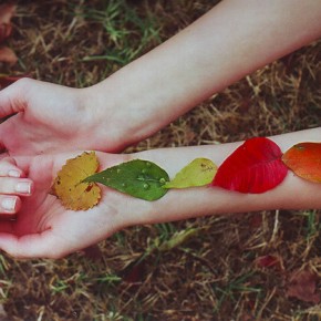 Welcome Autumn Equinox & Harvest Blessings~ Welcome Autumn Equinox & Harvest Blessings~