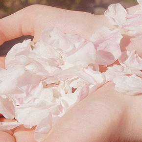 Your own awareness is your greatest offering~ Your own awareness is your greatest offering~