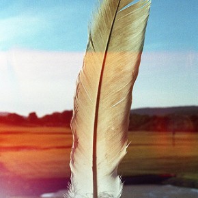 Sing, speak for the land; speak for the wild~ Sing, speak for the land; speak for the wild~