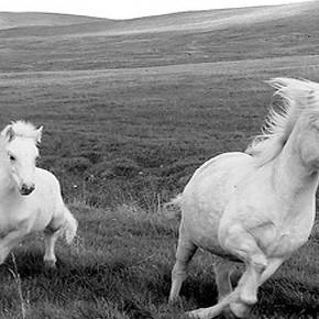 Shake things up, be free~ Shake things up, be free~