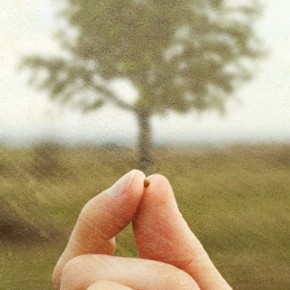 As you plant your own truth, more truth comes to light~ As you plant your own truth, more truth comes to light~