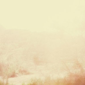 Gratitude for the millions of ways we are blessed~ Gratitude for the millions of ways we are blessed~