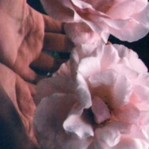 Love flows from the wisdom of the heart~ Love flows from the wisdom of the heart~