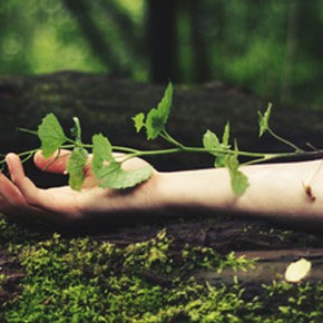 Awaken your connectedness within the web~ Awaken your connectedness within the web~