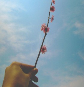 To thine own self be true~ To thine own self be true~