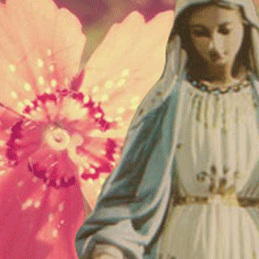 "Mother Mary: Open your heart wider" channeled By Fran Zepeda~ "Mother Mary: Open your heart wider" channeled By Fran Zepeda~