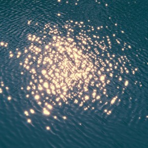 Act for the well being of all life~