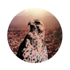 Mercury Retrograde in Leo July 26th 2018~ Mercury Retrograde in Leo July 26th 2018~