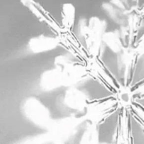 SOLSTICE ::: Born quietly from the deepest night~ SOLSTICE ::: Born quietly from the deepest night~