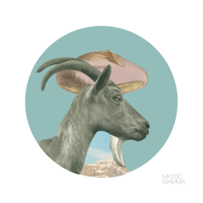 FULL MOON IN Capricorn July 3rd 2023~ FULL MOON IN Capricorn July 3rd 2023~