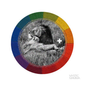 FULL MOON in Leo January 25th 2024~ FULL MOON in Leo January 25th 2024~